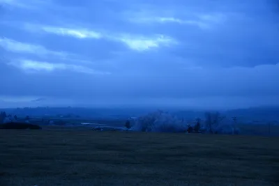 DSC_1096 (Large).JPG